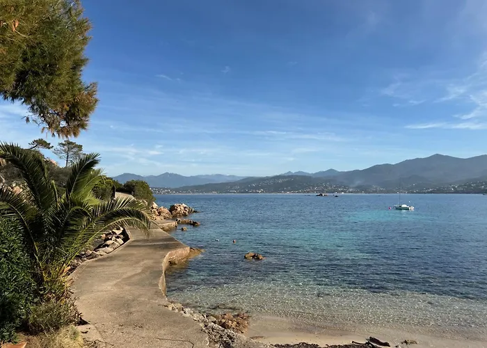 Terra Bella 2 Grosseto-Prugna